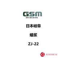 �ձ� ᪸� GSM ���� ��ĥ ���� �T������ Ϟ�{ �h���܄� ZJ-22