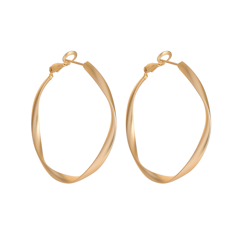 Alloy Earrings Fashion Simple Geometric Earrings Hoop Earrings Women display picture 9