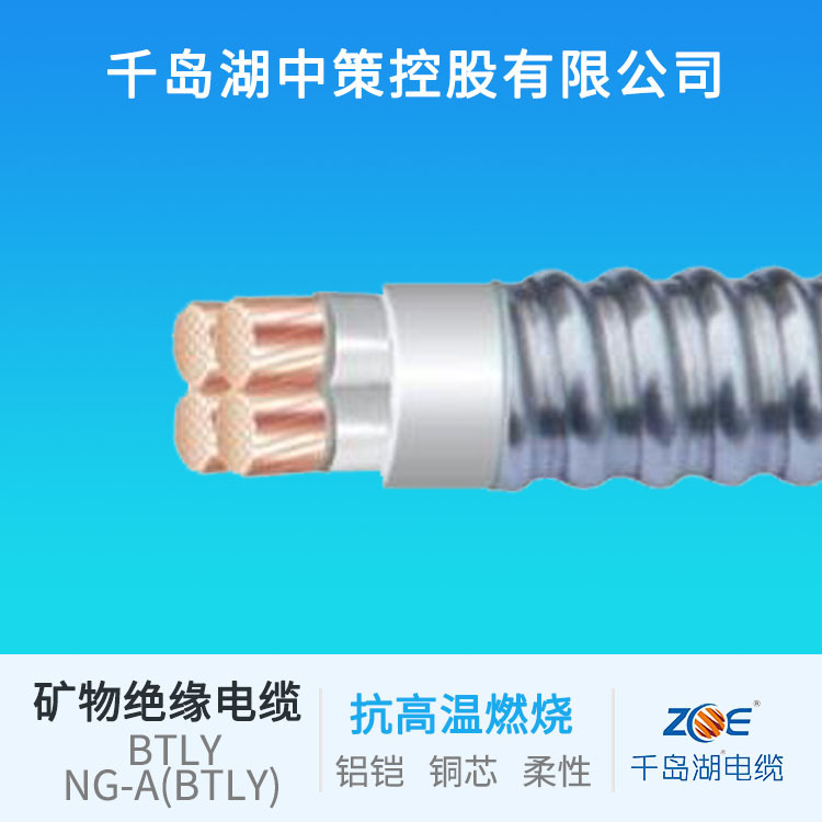千岛湖中策控股有限公司NG-A(BTLY)铝铠矿物电缆电缆线绝缘电线