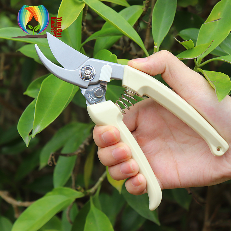 厂家直销 SK5强力园林剪 园林树枝园艺剪 果枝粗枝丫剪 园林工具