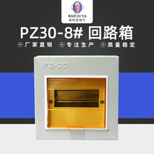 ԭSֱ ·PZ30-8# b K