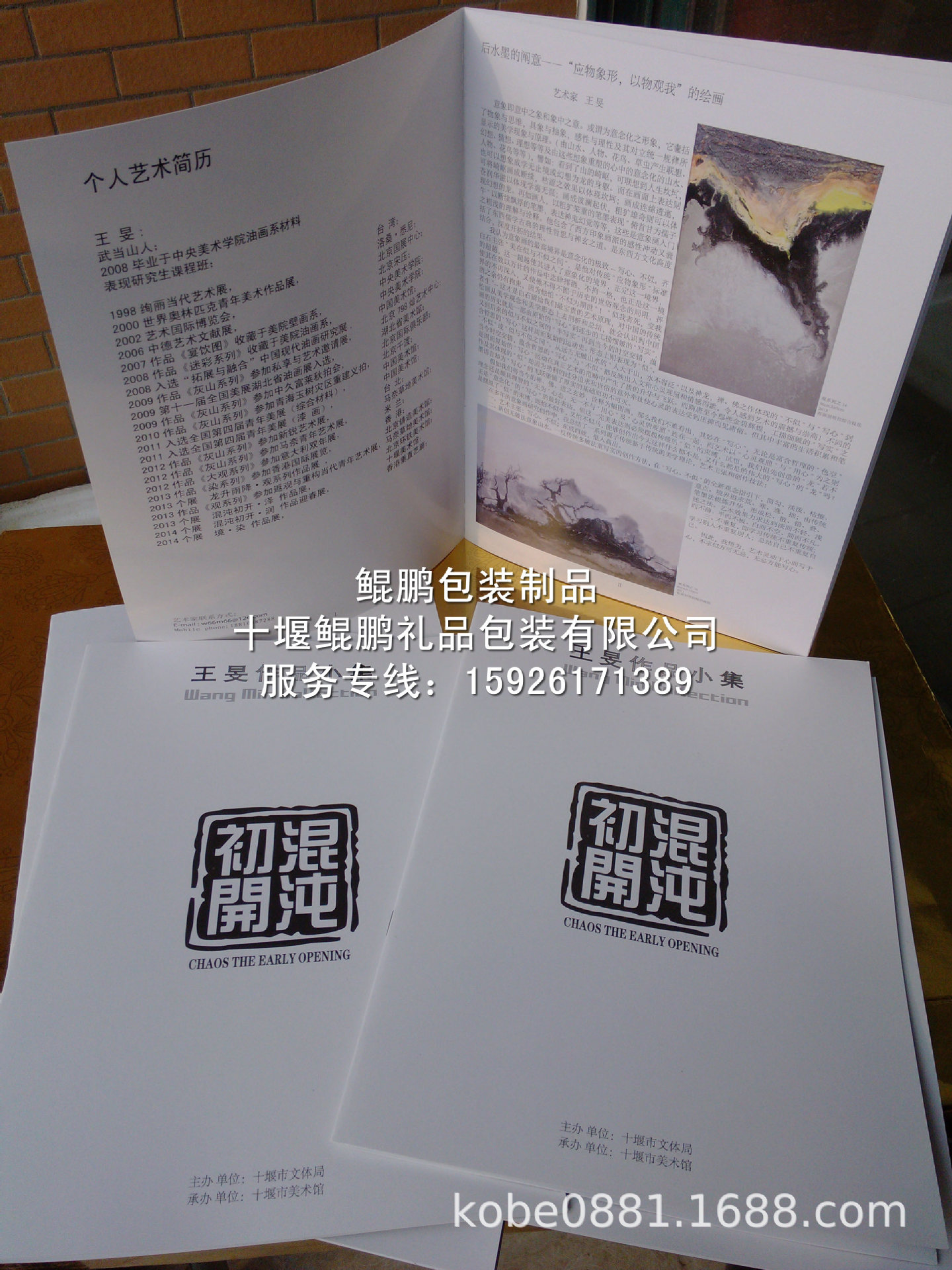 湖北产品画册,宣传手册房产楼书印刷户型单页,精美画册产品宣传册