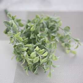 工厂店金钱树仿真植毛假的草尤加利配草叶子花假花婚庆装饰塑料花