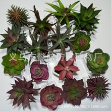 仿真多肉植物盆景仿真花塑料花DIY配件仿真多肉盆景仿真植物廠家