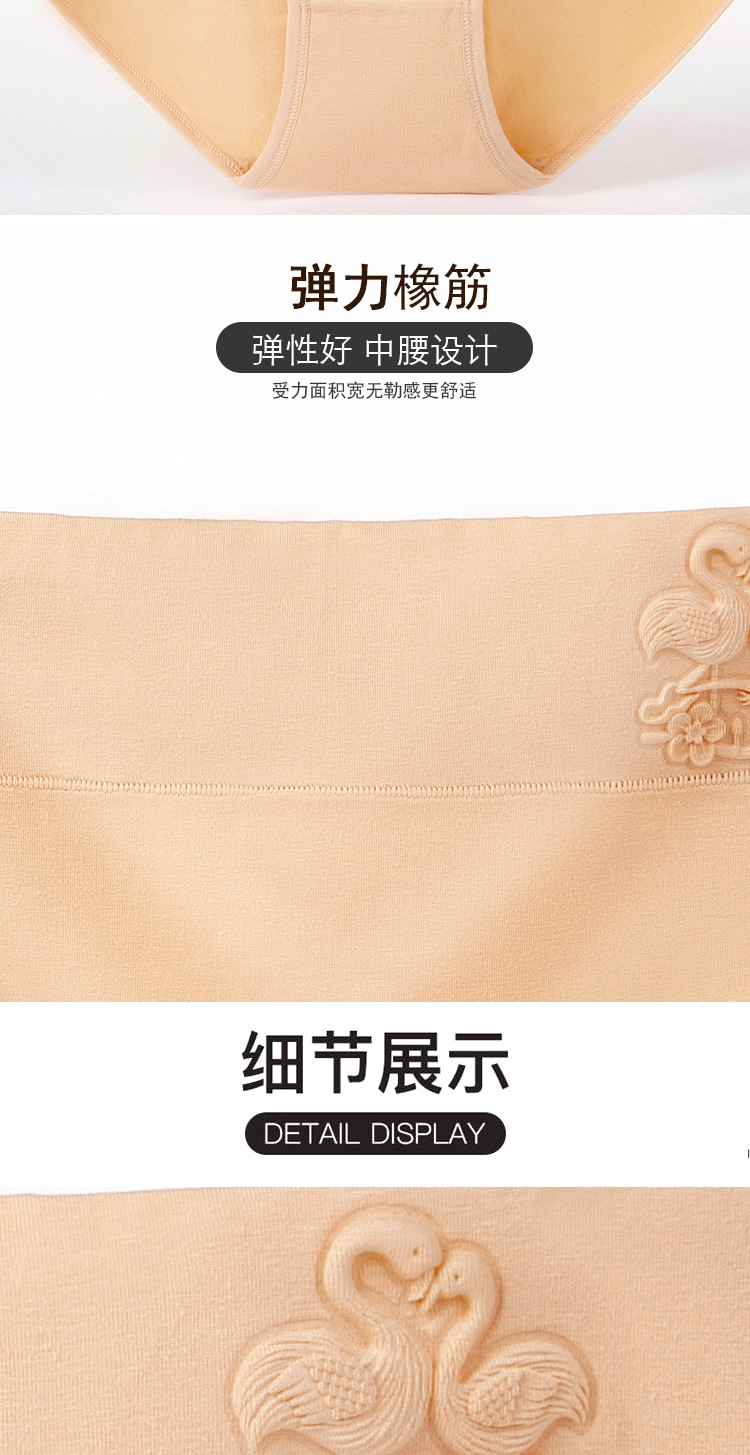 天鹅女士内裤_14.jpg