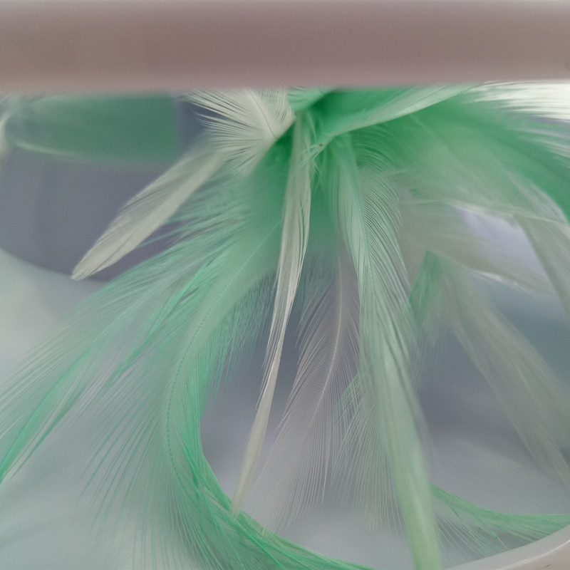 Interactive Feather Cat Toy