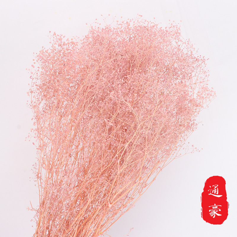 Everlasting Milky Way Star, Colorful Million Milky Way Stars, Preserved Flower Dry Flower Bouquet DIY Material Flower Material Wholesale 