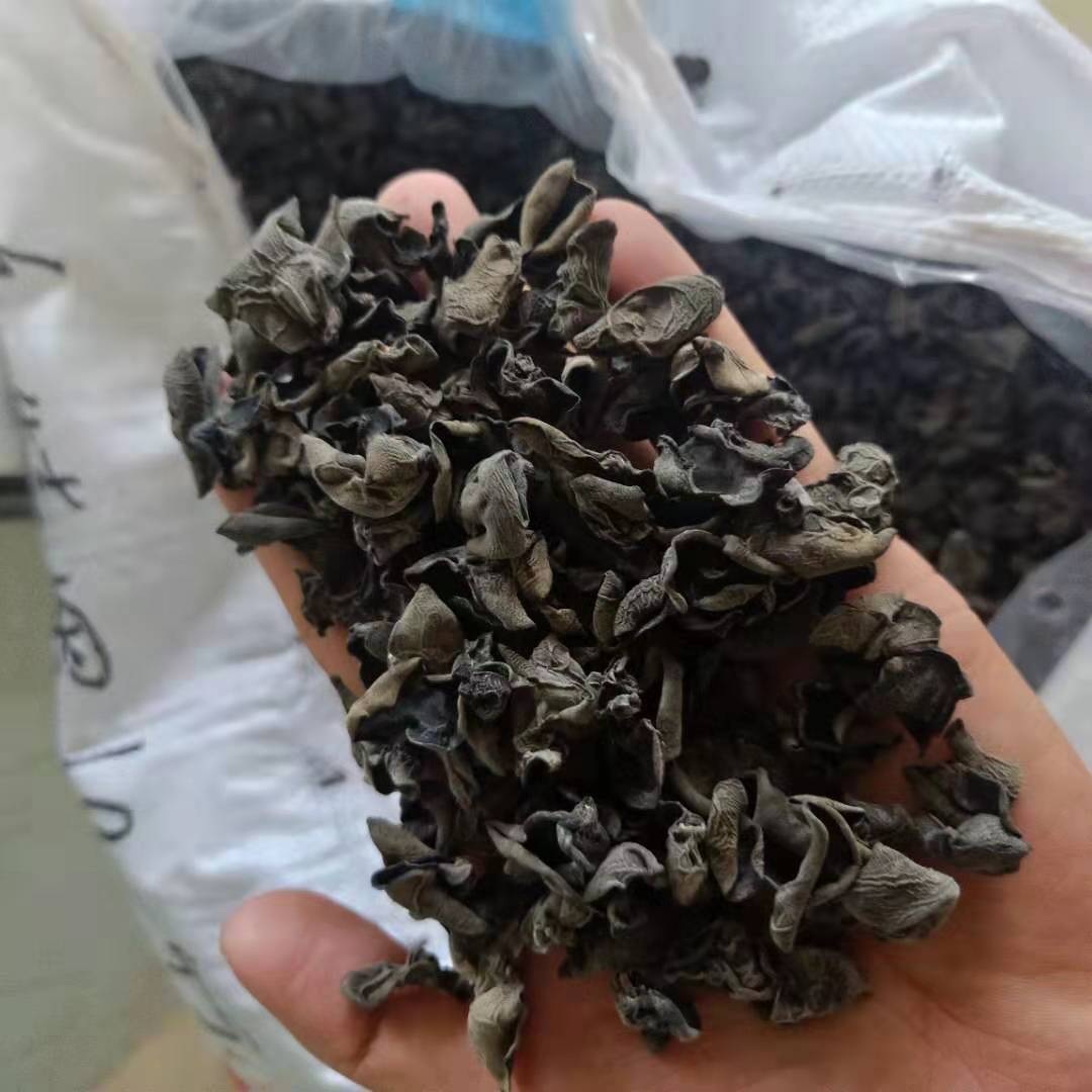 Dried Black Wood Ear Mushroom Small Bowl Grade Autumn Harvest 250g specifications