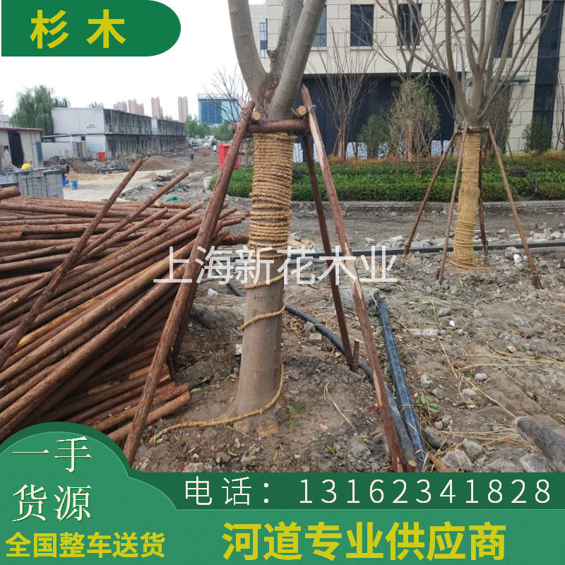 一手杉木绿化杆园林绿化支撑杆 树木支撑架 绿化杉木杆杉木支撑杆-阿里巴巴