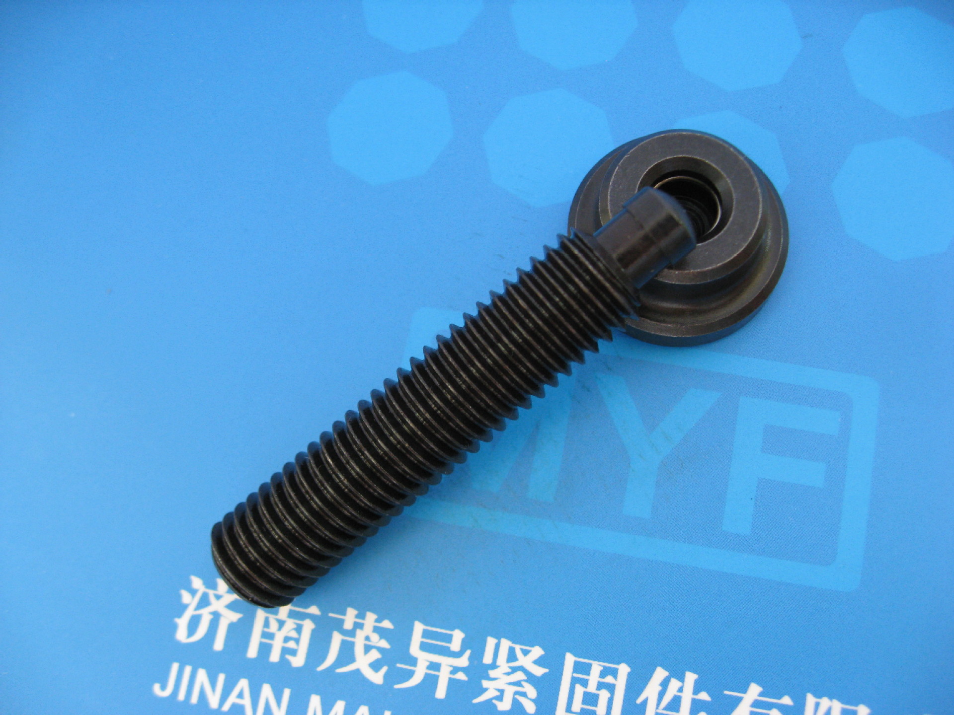 带推力点的螺钉DIN6332 (12)