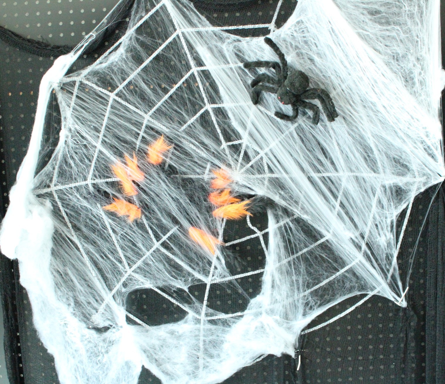 9389737171_1237545482