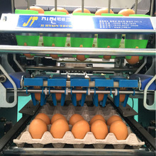 雞蛋包裝機 雞蛋裝托機 廠家直銷蛋品包裝設備