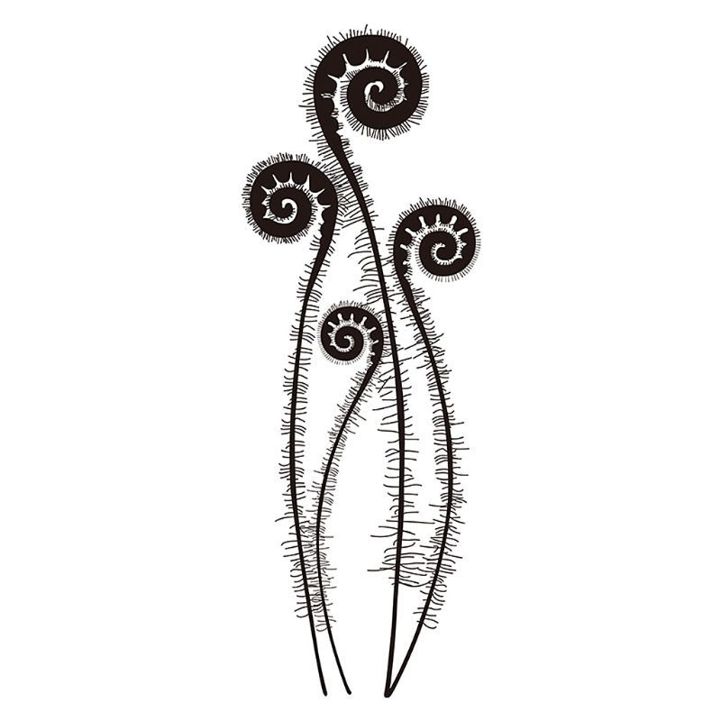 H9c506c197deb4b5792639c2491368