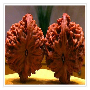 ������� ������Ҙ��� ��Ƥ���Ҙ��� Ʒ�N���� �޽Ӻ��Ҙ���