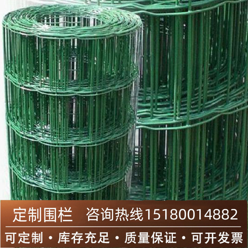 荷兰网养殖圈地 防护荷兰网 浸塑围网平纹编织包塑荷兰网厂家批发