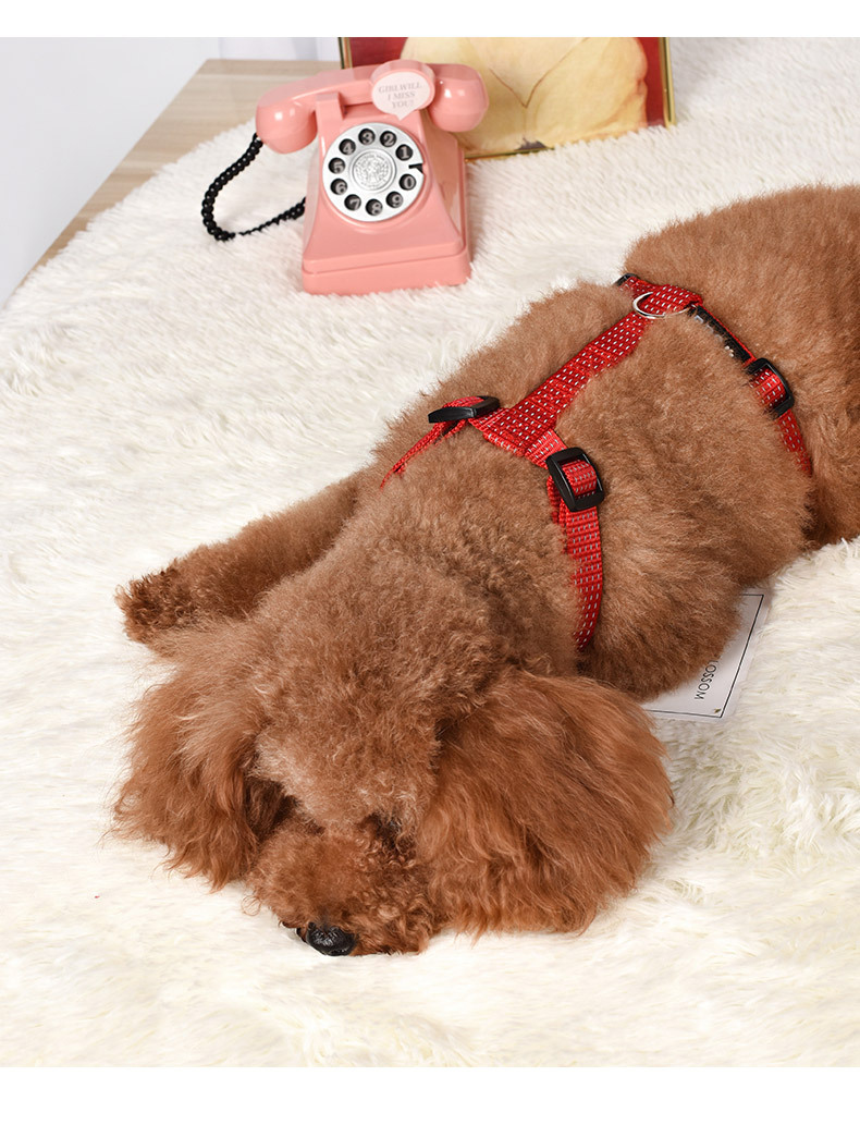 Dog Luminous Leash Pet Vest-style Chest Harness And Dog Leash Small And Medium Pet Products display picture 5