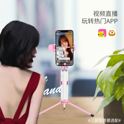 Perche selfie en Acier inoxydable - Ref 3386994 Image 3