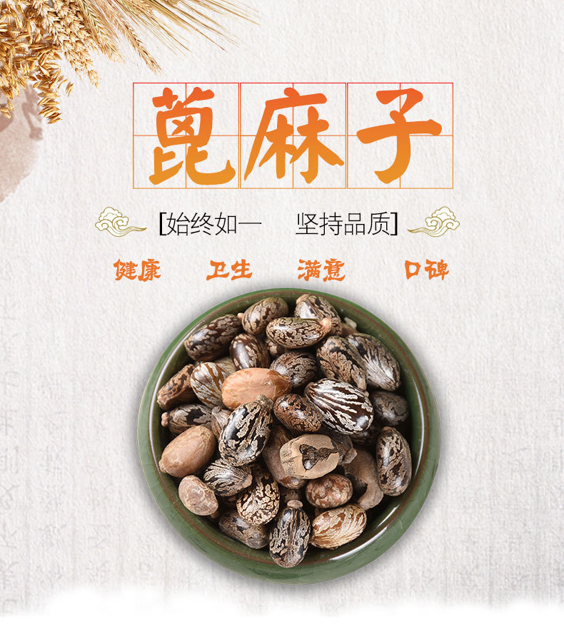Castor Bean Seeds (Ricinus communis) — Dried Bi Ma Ren Herbal Seed, 500g overview