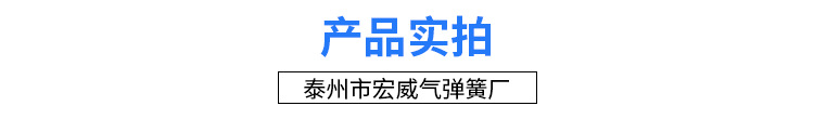 产品实拍.png
