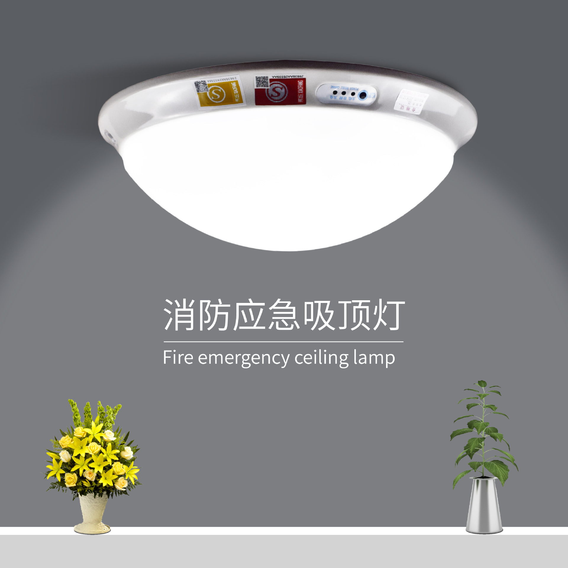 Bechira Cross Mirror Minimalist Modern Creative Engineering Corridor Corridor Balcony Smart Sloped Edge Highlight LED Ceiling Lamp