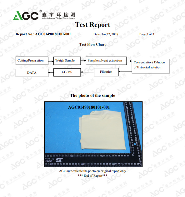 6P test report 3-3
