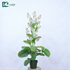 Realistic plastic decorations, flowerpot, wholesale