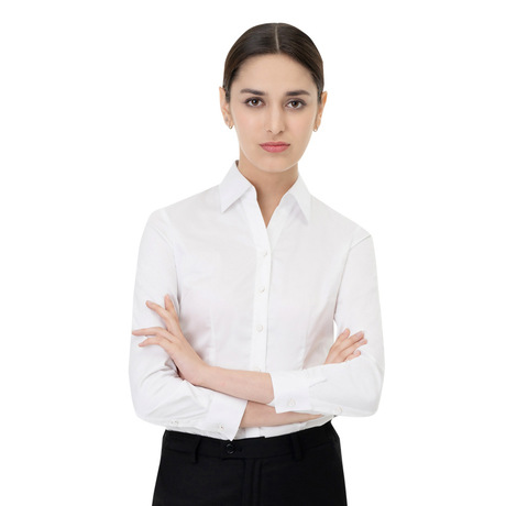 2019衬衣女韩版长袖60支全棉女士衬衫职业装工作服衬衫女团购定制