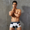 man Underwear pure cotton fashion Color matching Men's boxer briefs seobean Hibbing new pattern Underwear Manufactor