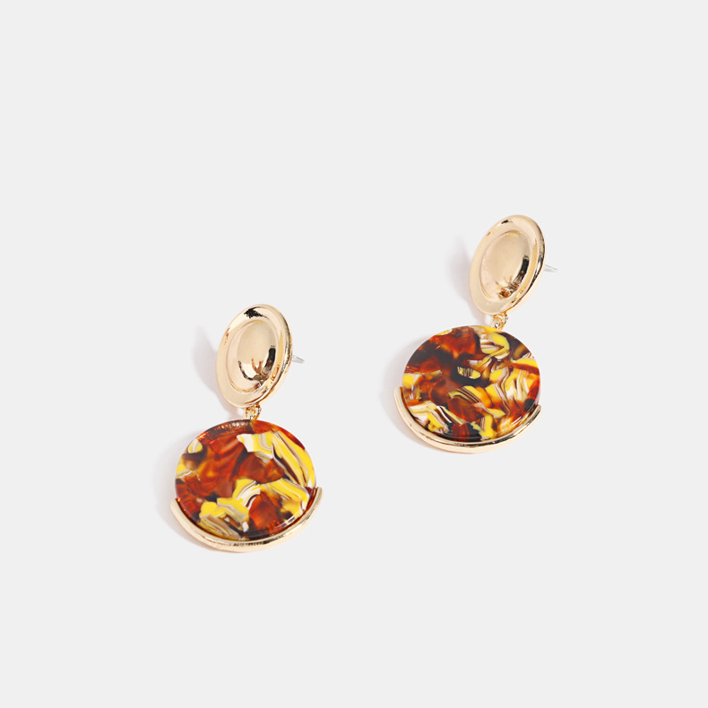 S925 Europe And The United States Fashion Acetate Earrings Female Geometry Acrylic Earrings display picture 2