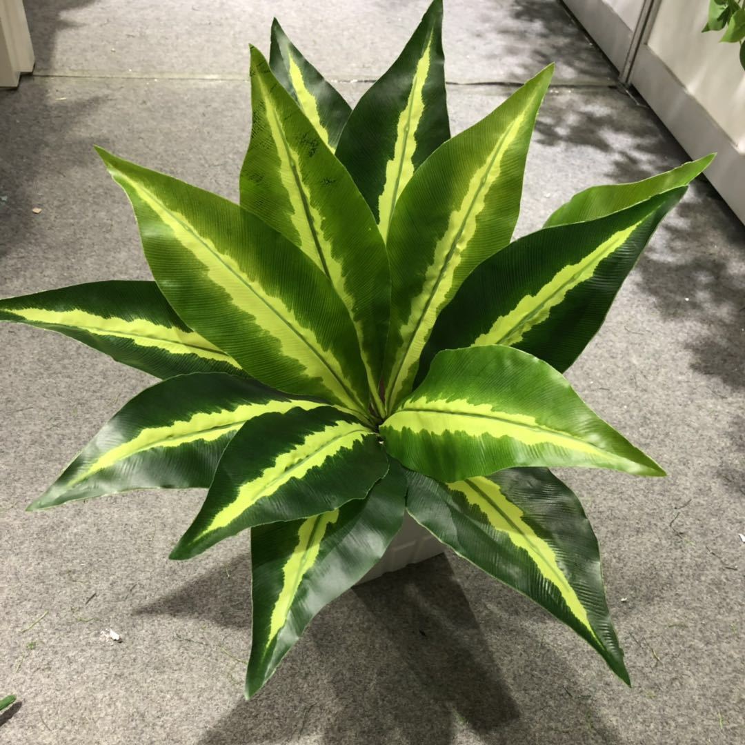 DIY artificial bird's nest fern, magnolia leaf, artificial plant wall accessories, small bonsai, green plants, hand-felt leaves, Brazilian wood detail image 5