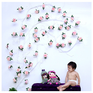 �ٻ��ٗl ��ɫ������ĵ�������p�@�b�c������ ���滨��õ�廨