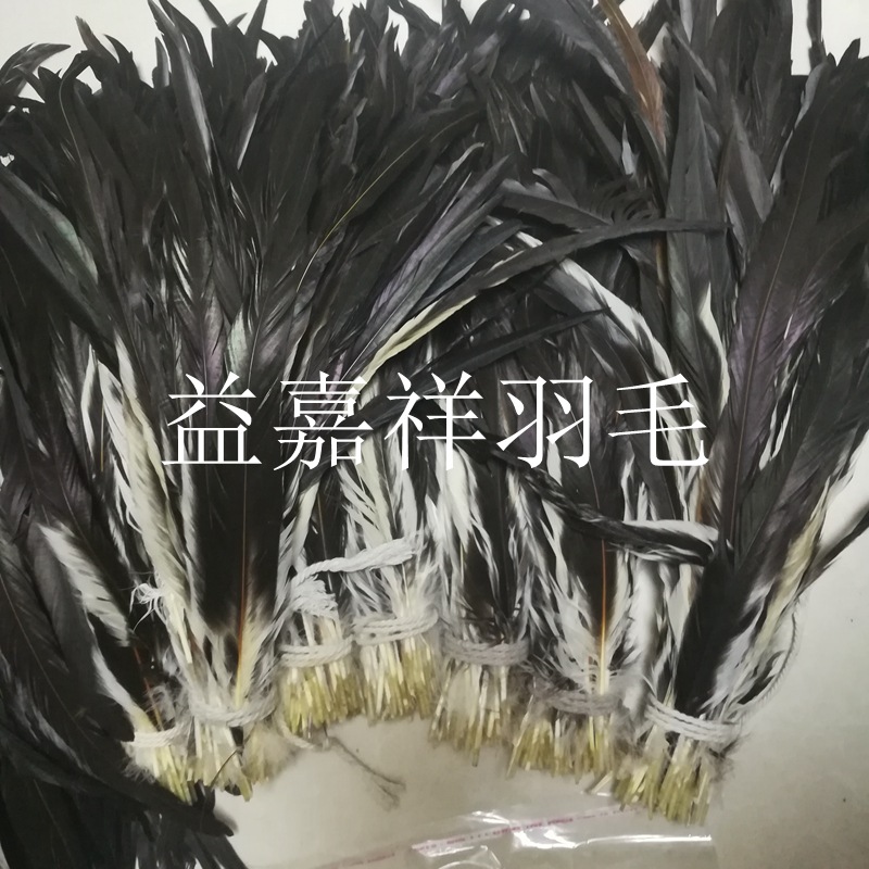 IMG_20180405_190251_副本