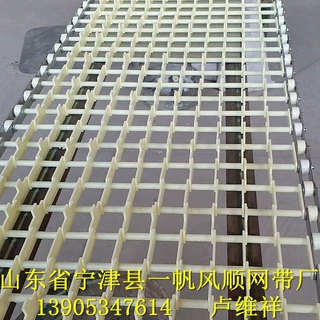 洗碗机网带 长龙型输送履带 酒店餐厅 工厂学校食堂使用 清洗方便