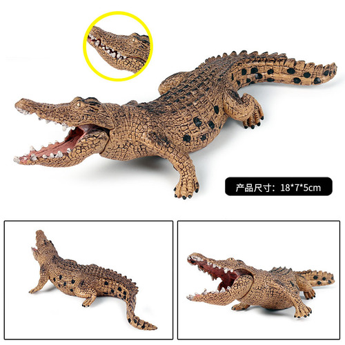 Children's toys, wild animal model simulation crocodile, science and education preschool education cognitive solid static model ornaments