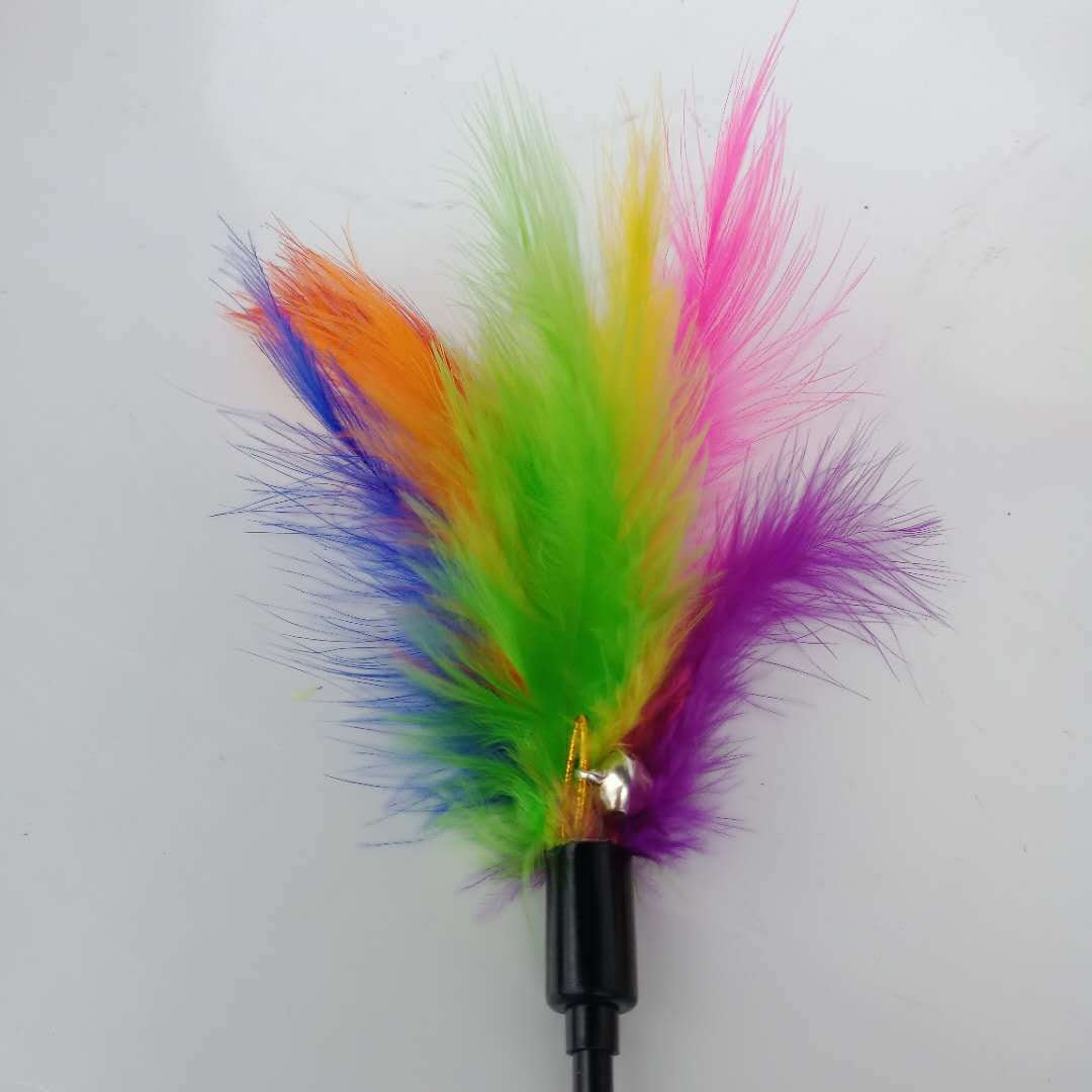 微信图片_20190406211457