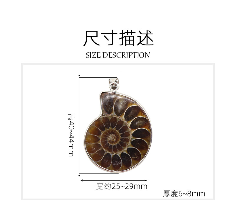 Retro Snail Fossil Pendant Necklace Wholesale display picture 3