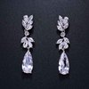 White zirconium, earrings, long crystal, jewelry for bride, flowered, Korean style, European style