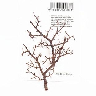 ���Ϙ�֦����ֲ��ݘ�֦ɺ��֦¹���Ʒ����Ĕz���߼٘�S�����l