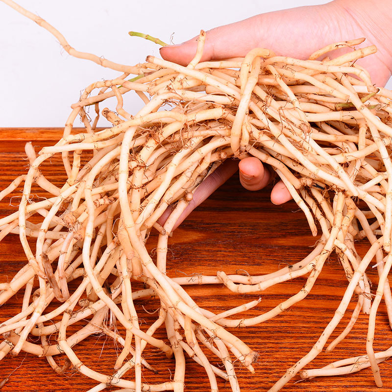 2斤裝 魚腥草 嫩根 魚腥草茶 新鮮采挖折耳根節節根包郵