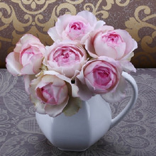 ���l��Ʒ��ܽϵ���¼������Ķȷ��������ļ��_�������̨����