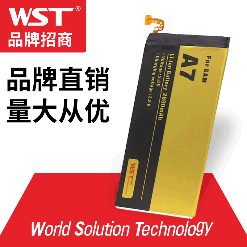 WST跨境货源代加工厂生产锂电池 代加工厂生产锂电池 生产锂电池|ms