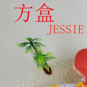 Fang cuisi children children A birthday present CS