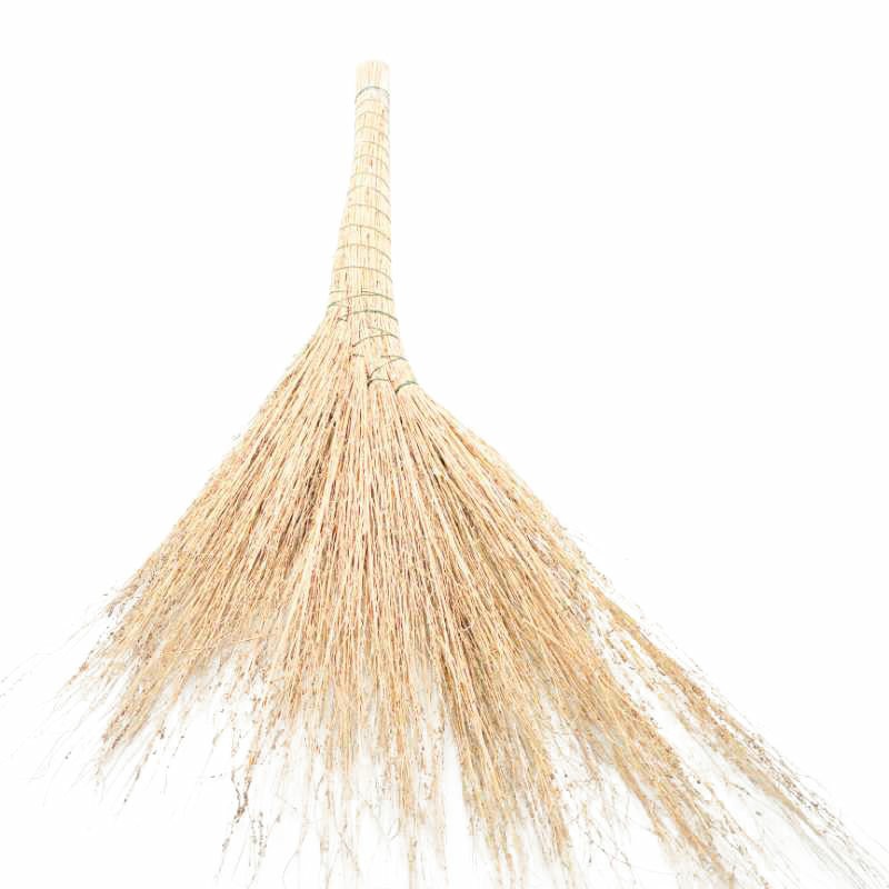 Manufactor Direct selling Broom Broom Plant broom Palm broom Hunan Hubei Guizhou Zhejiang