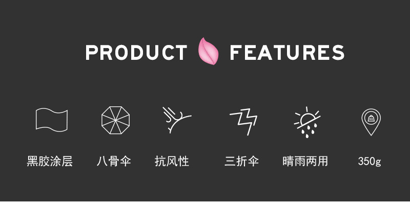 胖胖熊常规 (3).jpg