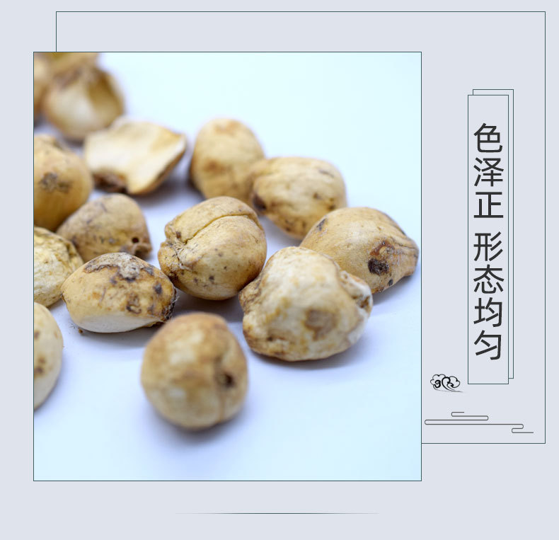Xinjiang Bulbus Fritillaria Whole Dried Herb Beimu Yibeimu Bulk 500g quality and texture
