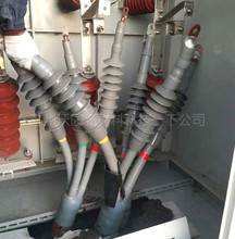 ��|��������߉�10KV��s�K���^WYL-10KV��о/��о��s��|����