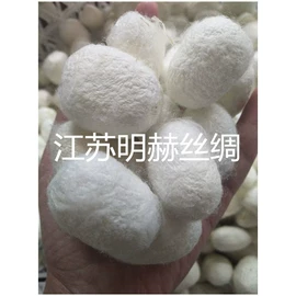 蚕茧、蚕丝;蚕丝光胎