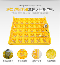 孵化机蛋盘 厂家直供批发36枚48枚带翻蛋电机蛋盘 小型孵化机蛋盘