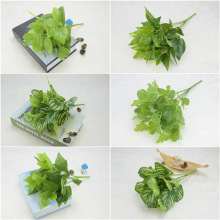 7������G�}�~�����~�ӷ���ֲ��Gֲ���Թ����b�ֲ��廨���