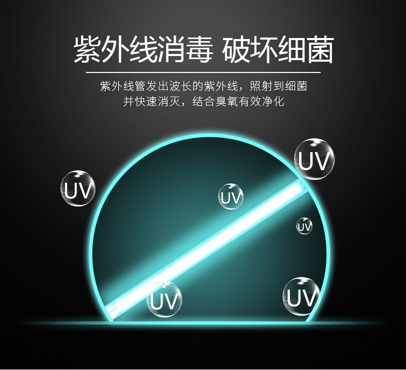 新品-2_10.jpg